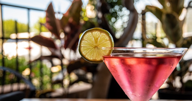 A red martini cocktail, garnished with citrus wheel