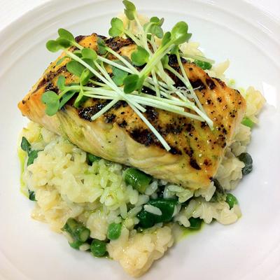 Miso glazed sea bass