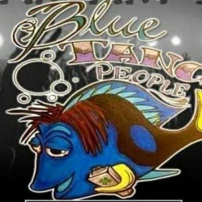 gallery photo number 565