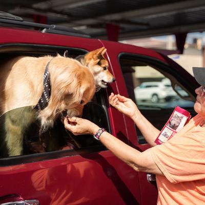dogs receiving treats.