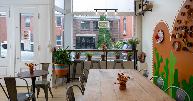 Bright interior - tables, metal chairs, potted plants, colorful cactus wall art