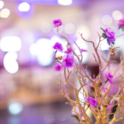 gallery photo number 22