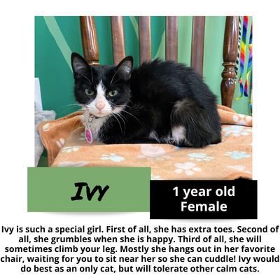 gallery photo number 2