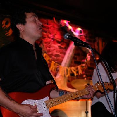 gallery photo number 255