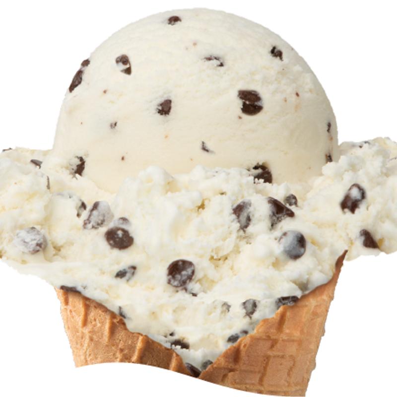 Chocolate Chip photo