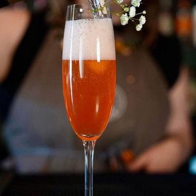 gallery photo number 5