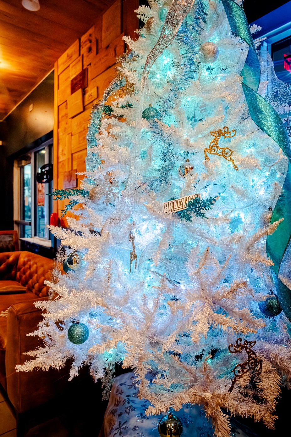 Brackish Christmas event photo