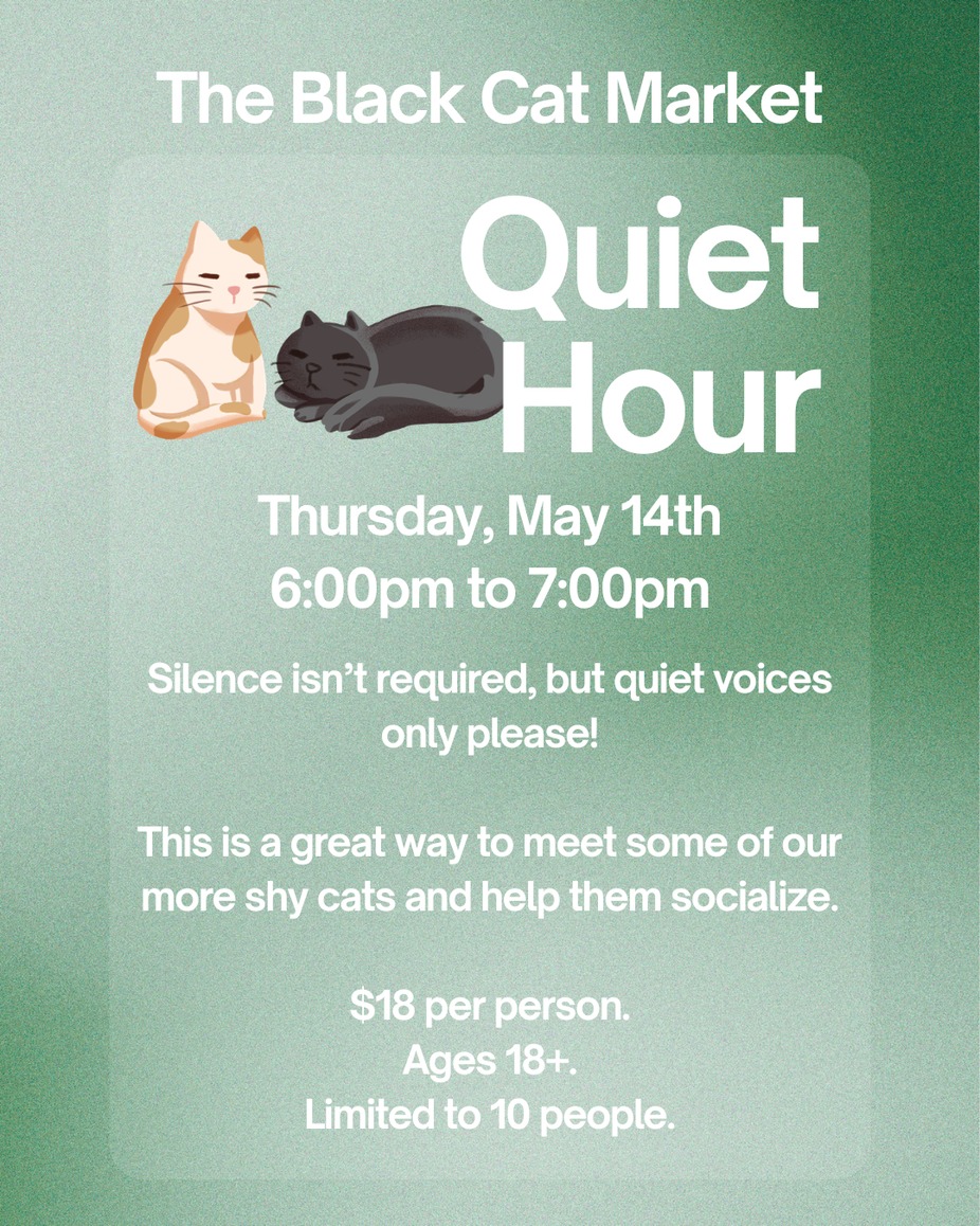 Quiet Hour event photo