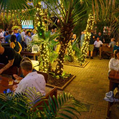 Outdoor bar patio with palm trees wrapped in string lights and guests socializing.