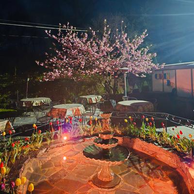 gallery photo number 20