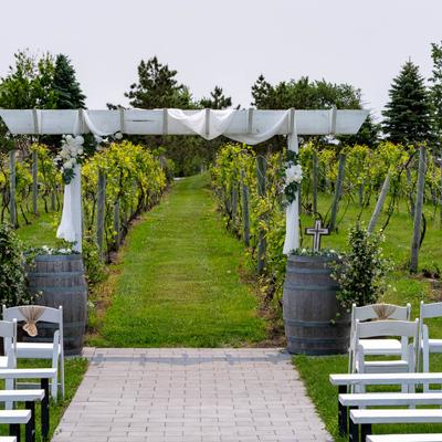 gallery photo number 43