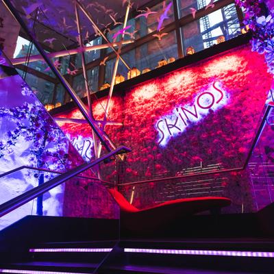 gallery photo number 11