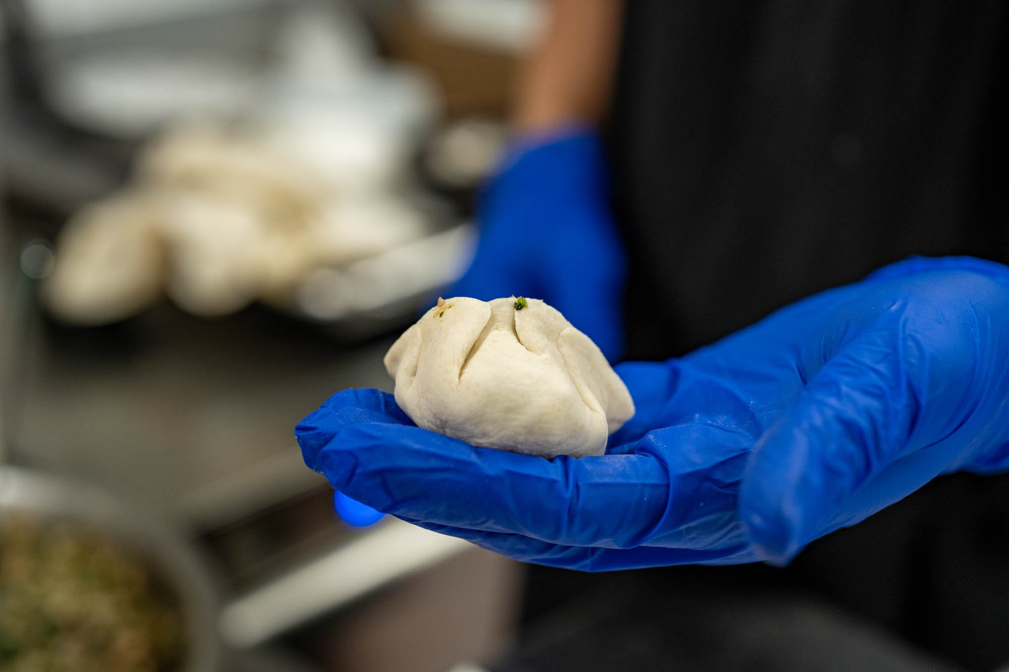 A hand holding a prepared dumpling