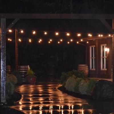 View of restaurant exterior at night