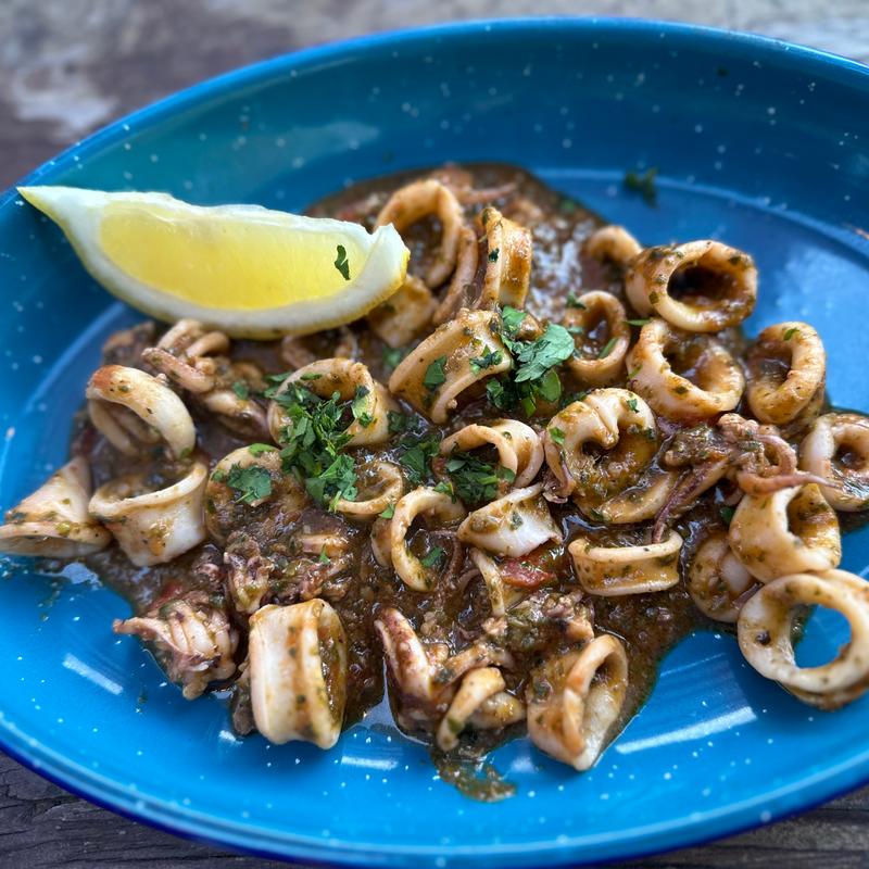 Calamari photo