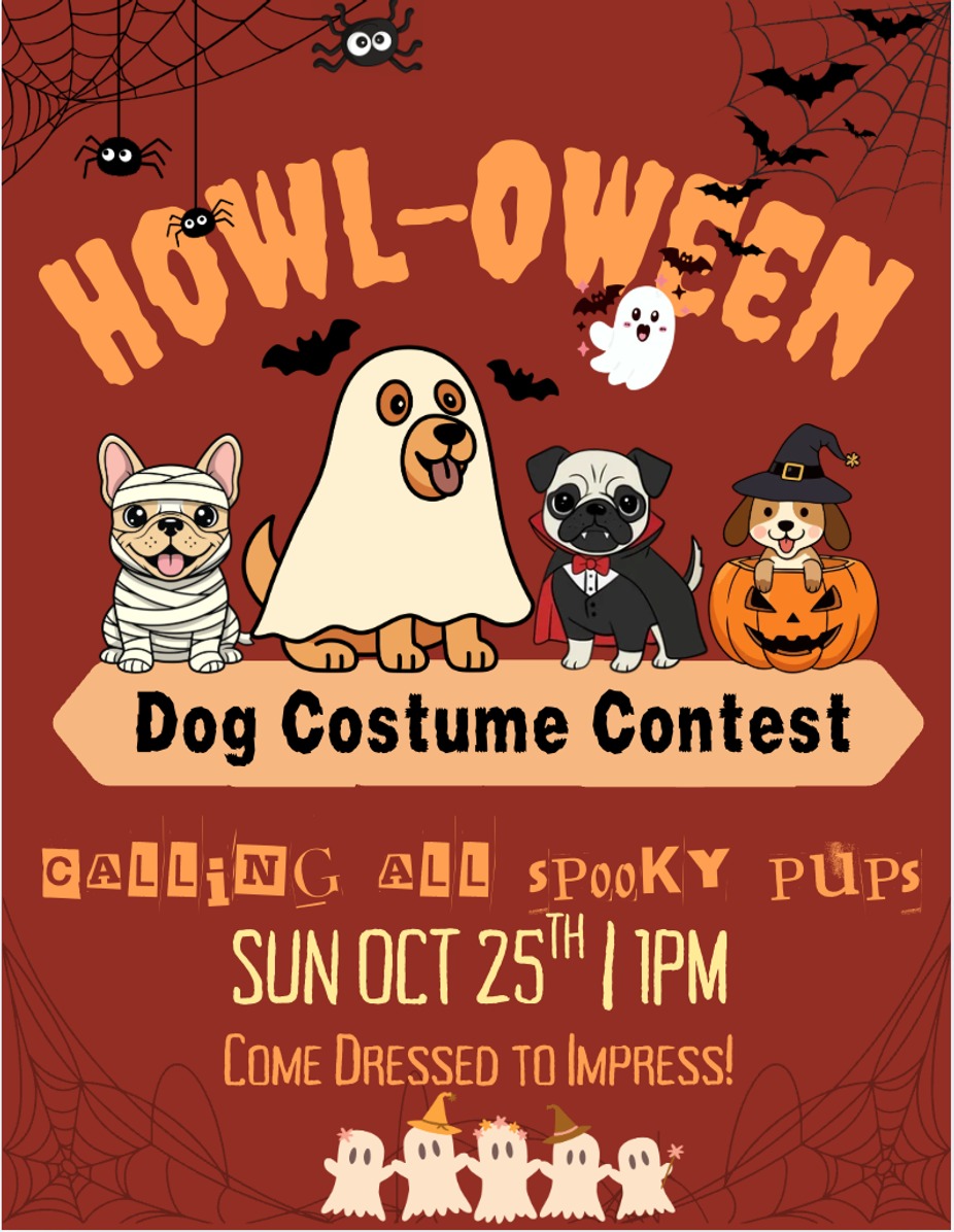 🐶🎃 HOWL-OWEEN Dog Costume Contest - Tempe event photo 10