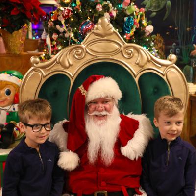 gallery photo number 31