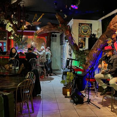 Guests at the decorated bar interior.