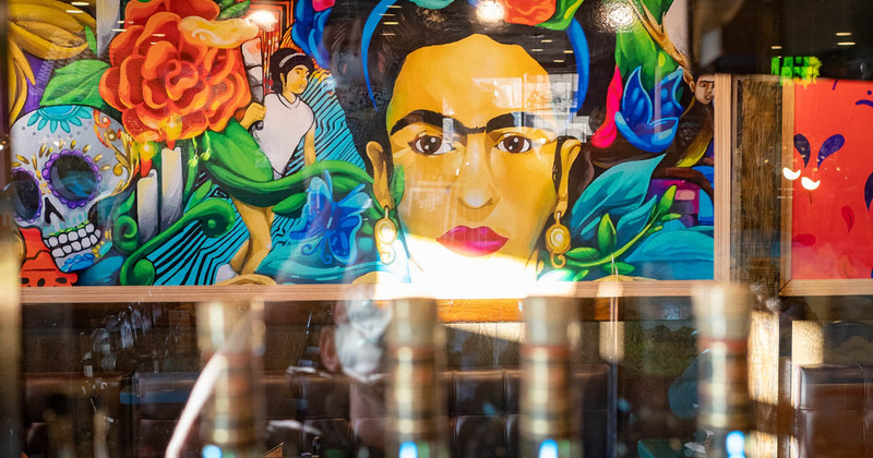 Interior, Frida Kahlo drawing, the view through the window