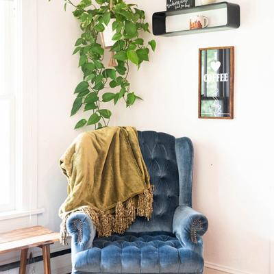 Interior with a blue velvet armchair, a hanging plant, and wall art.