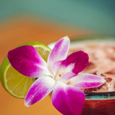 gallery photo number 7