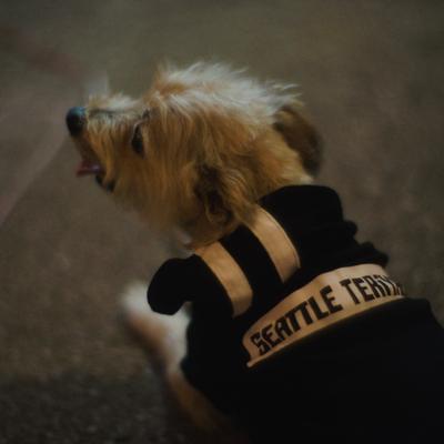 gallery photo number 7