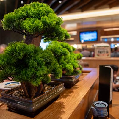 gallery photo number 50