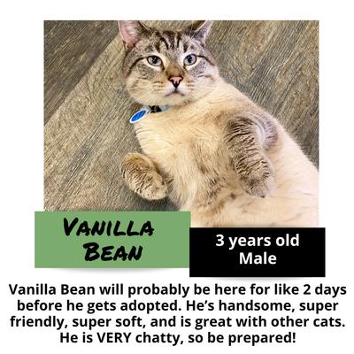 gallery photo number 6