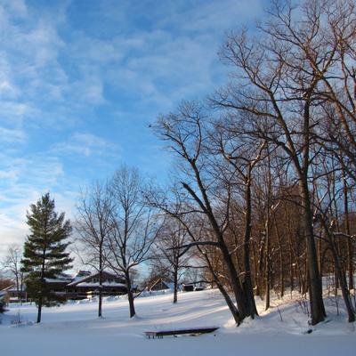 gallery photo number 8