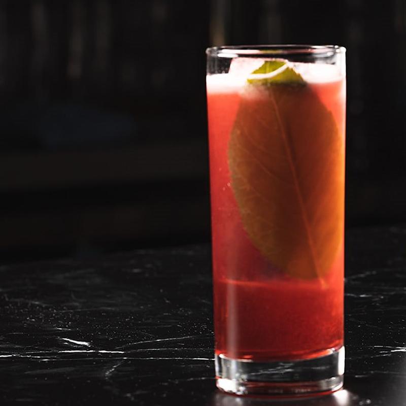 Hanami in Maruyama Park photo