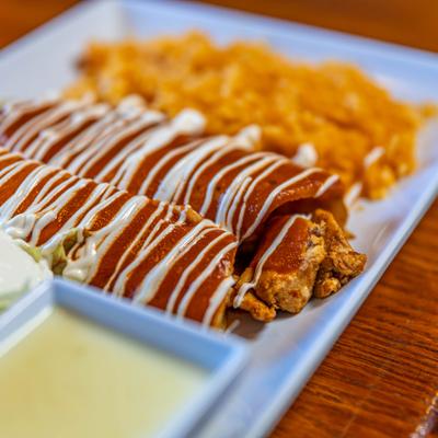 Fajita Enchilada plate, close up.