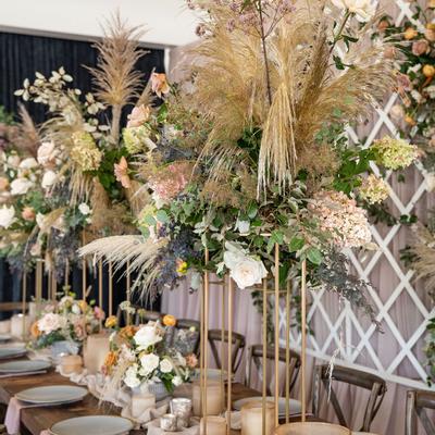 gallery photo number 6