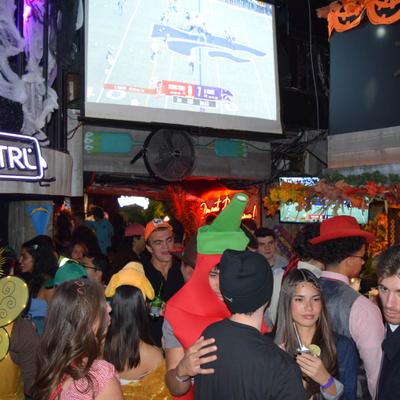 gallery photo number 342