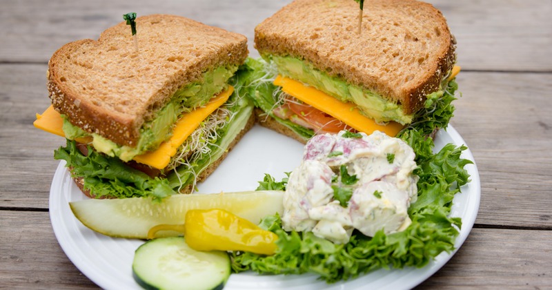 Avocado, lettuce, tomato, sprouts, and cheese sandwich