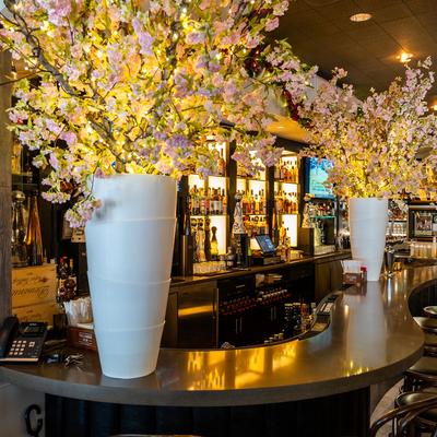Bar area, potted plants.