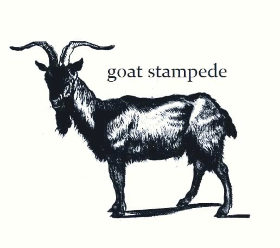Live Music with Goat Stampede event photo