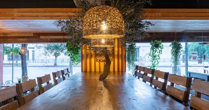 Interior, wooden table with tree in the middle