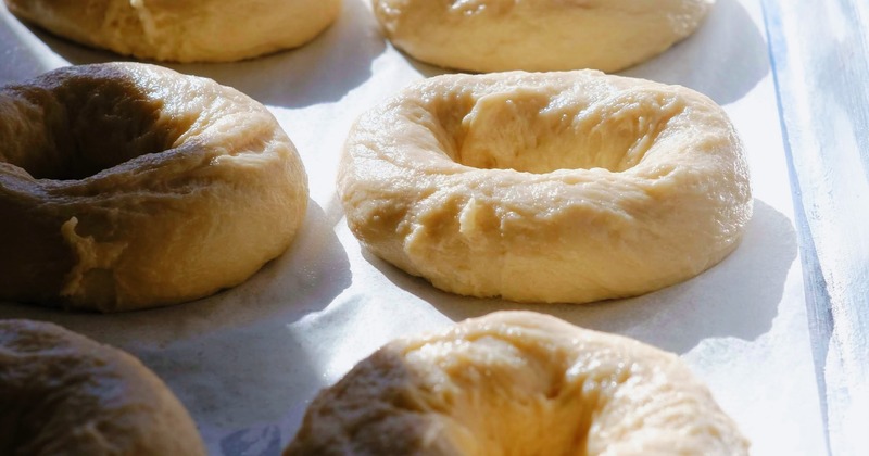 Freshly rolled bagels ready to be boiled then baked