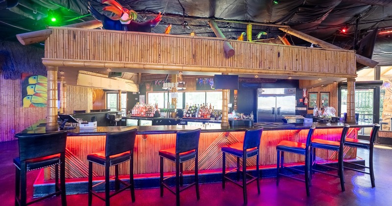 A tropical-themed bar, colorful lighting, and toucan sculptures.