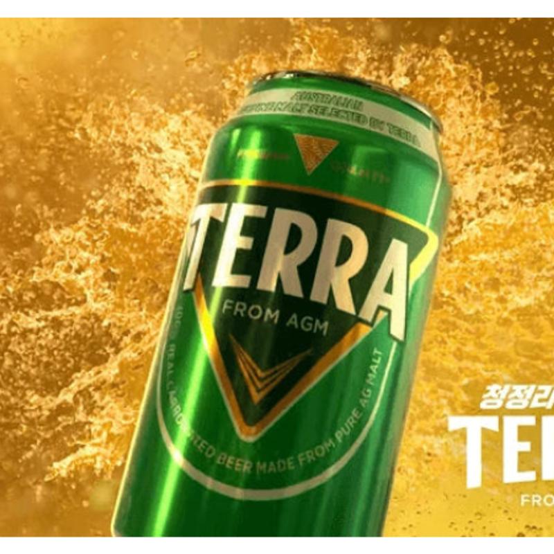 Terra (테라) photo