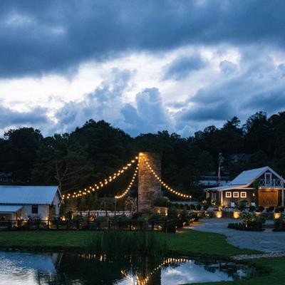 gallery photo number 5