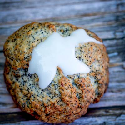 gallery photo number 57