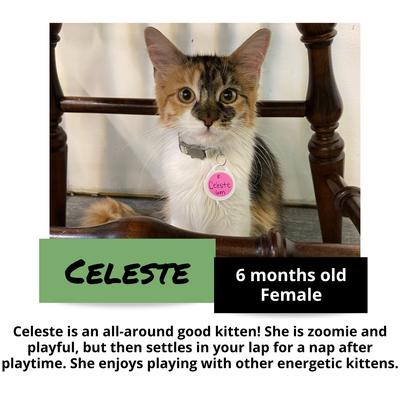 gallery photo number 1