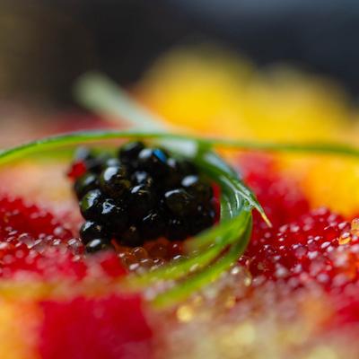 Close up of scallop with tobiko and caviar.
