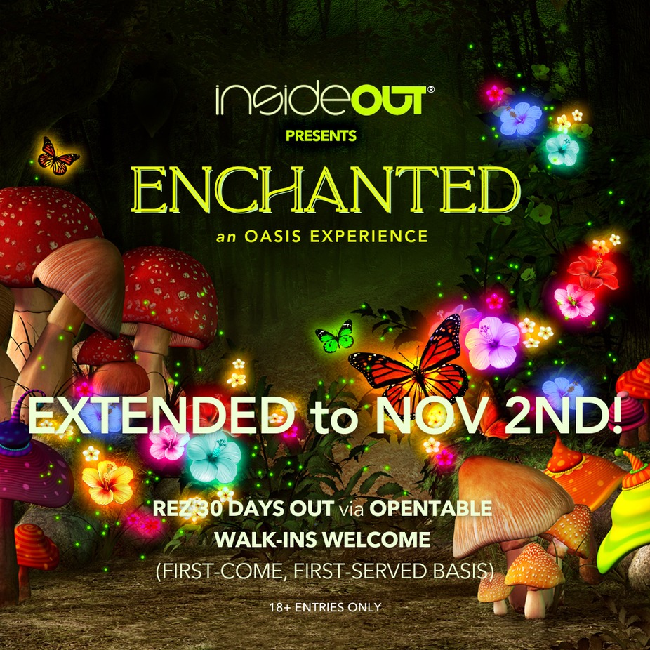 Enchanted Oasis Experience - EXTENDED event photo