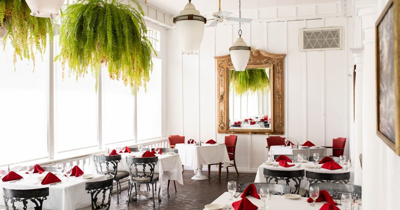Interior, dining area, plants hanging from a ceiling