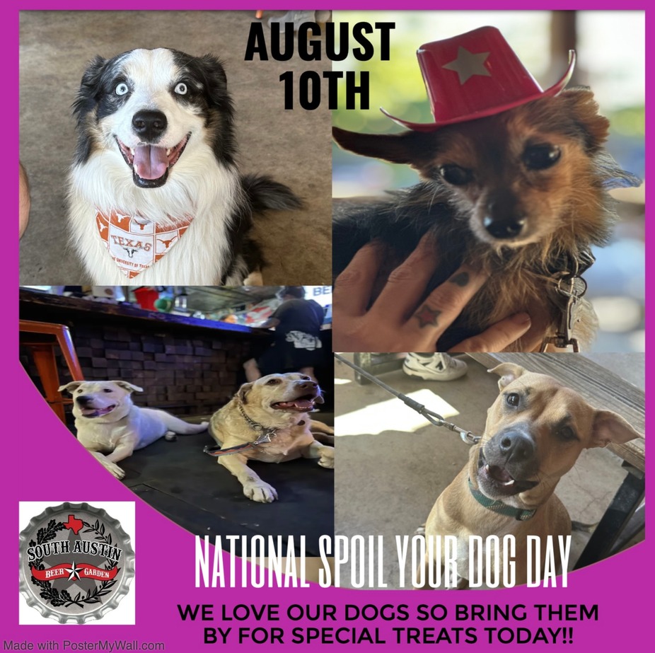 National Spoil Your Dog Day event photo