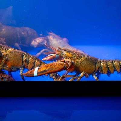 gallery photo number 1