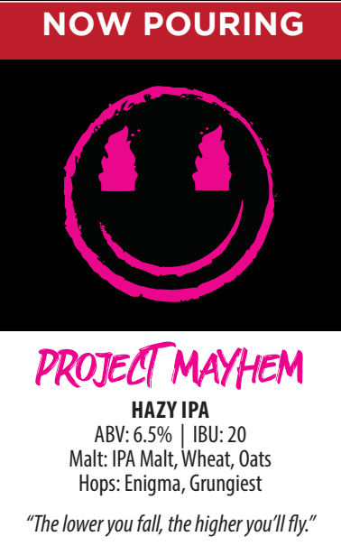 Project Mayhem photo