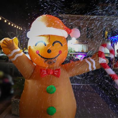 gallery photo number 3